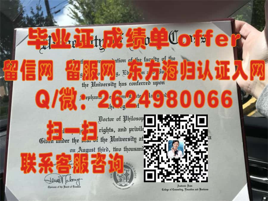 《揭秘芝加哥州立大学：学位证书样本分析与新设计解析》