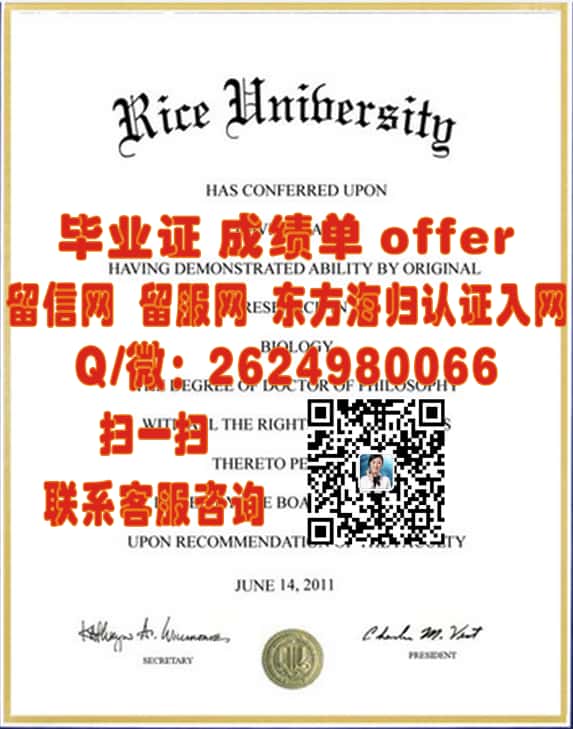 《探索艺术新境界：揭秘明尼苏达国际艺术学院全新学位证样本设计》