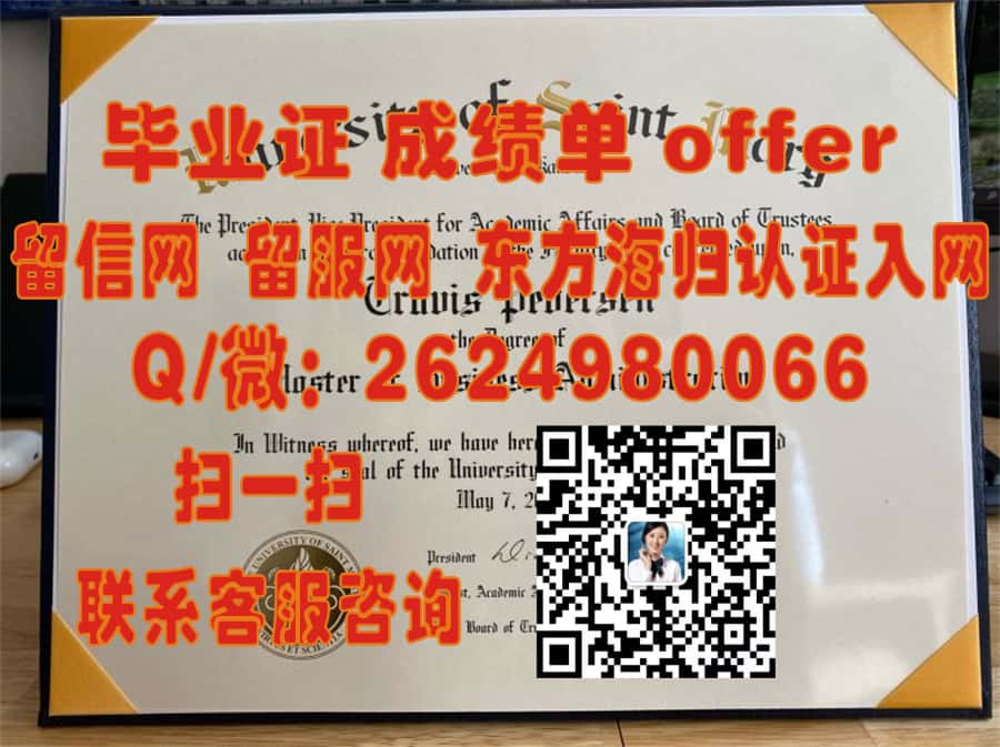 探索都柏林理工学院卓越教育成就：揭秘本科毕业证书背后的故事与价值