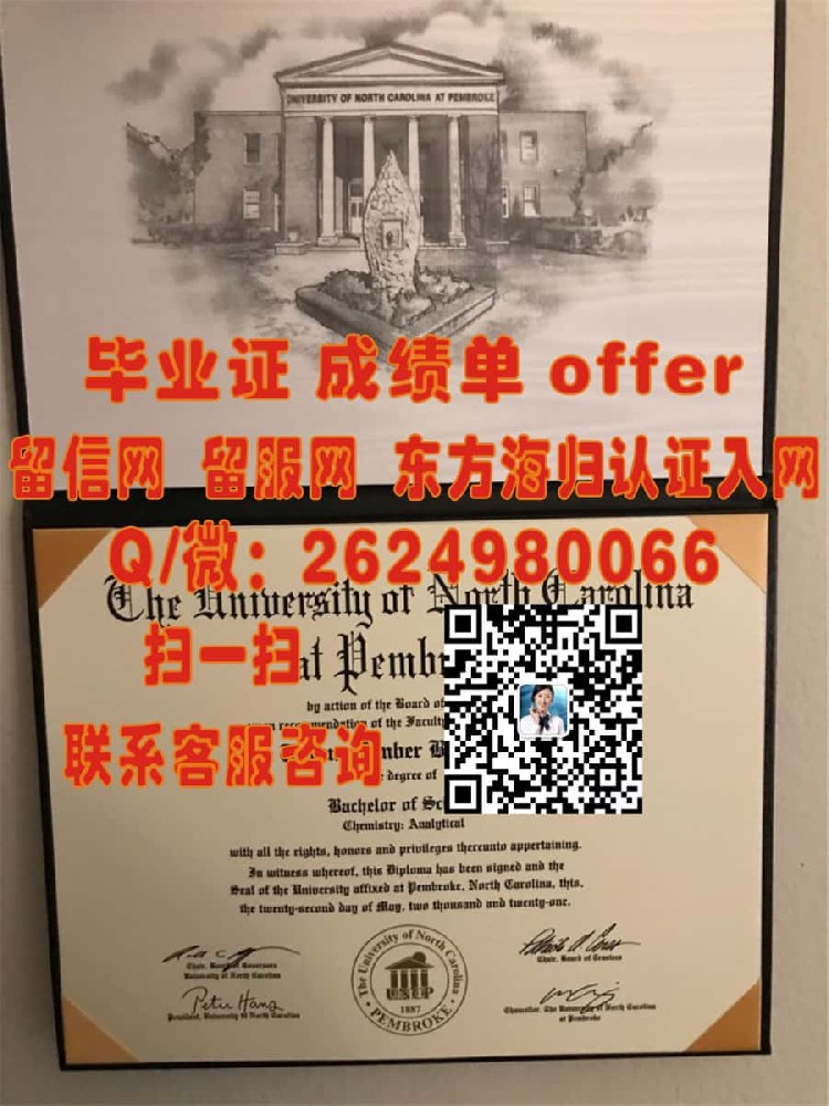 《从格里菲斯学院本科荣耀毕业：探索爱尔兰教育新篇章》