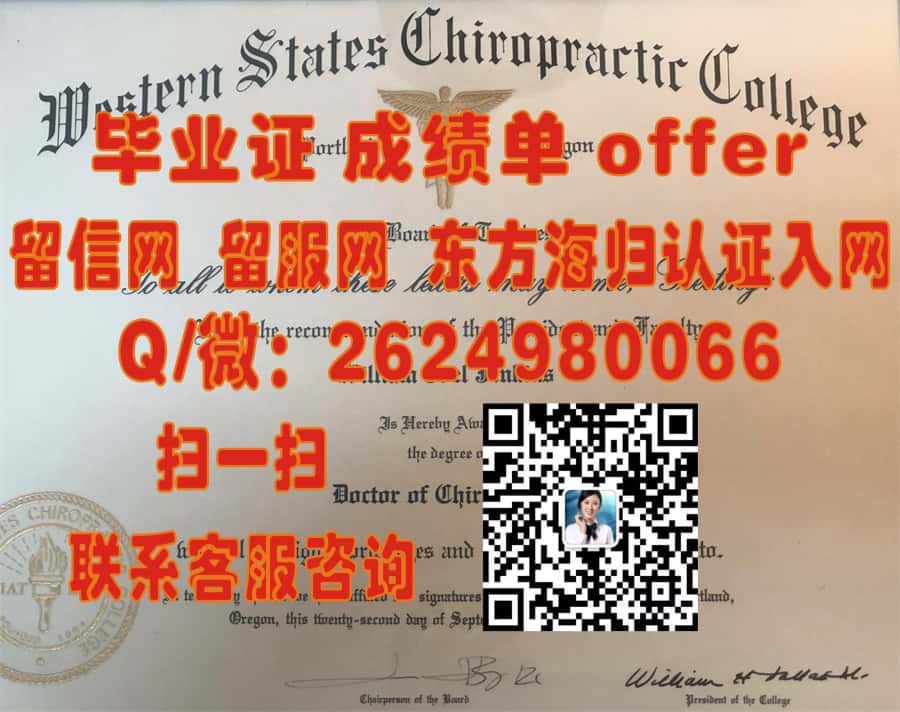 《利默里克大学本科荣耀：揭秘毕业证书背后的成就与故事》
