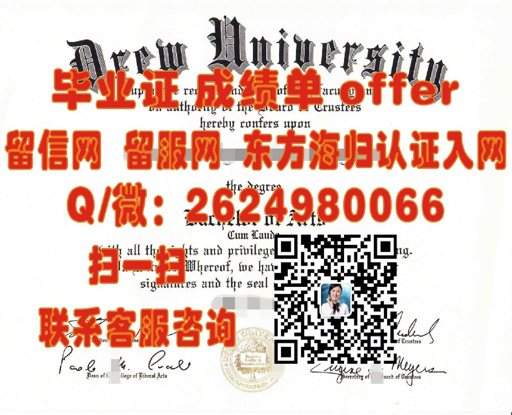 《斯文本科技大学本科荣耀：探索毕业生成就与未来展望》