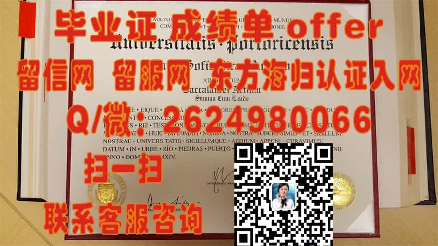 《阳光海岸大学本科荣耀：探索毕业生成就与未来无限可能》