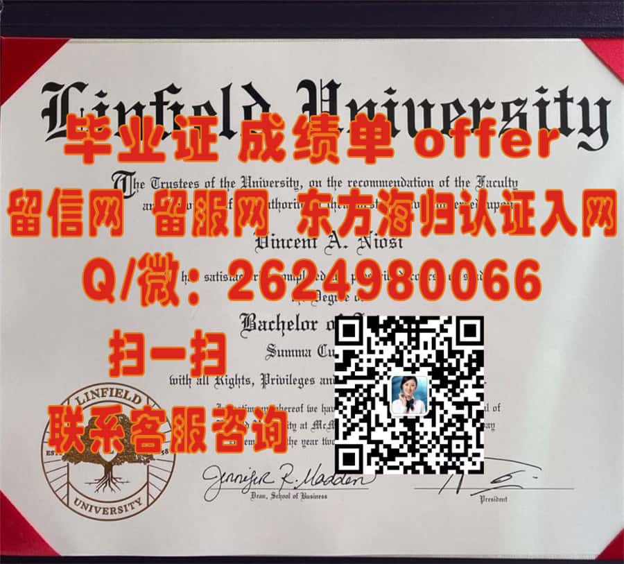 《纽卡斯尔大学本科荣耀：毕业证书背后的故事与启示》