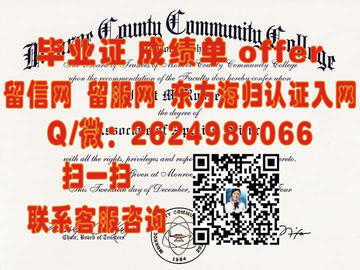 《柏林应用科学大学本科荣耀：探索毕业生成就与未来展望》