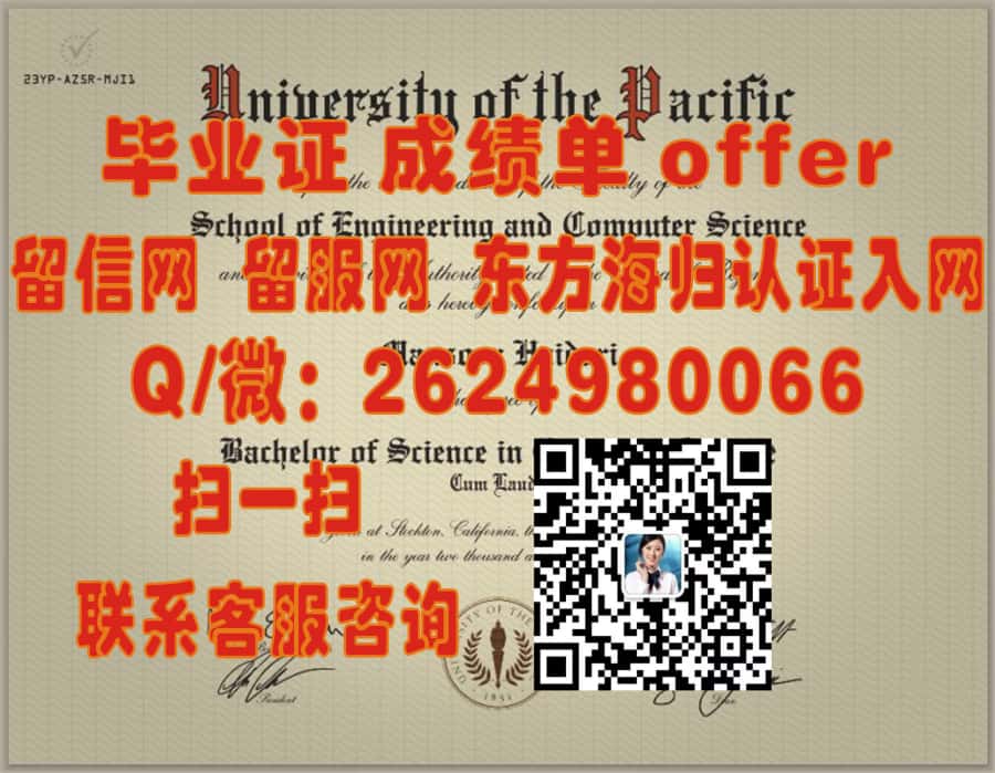 《德国不伦瑞克工业大学本科荣耀：开启未来国际学术生涯的新篇章》