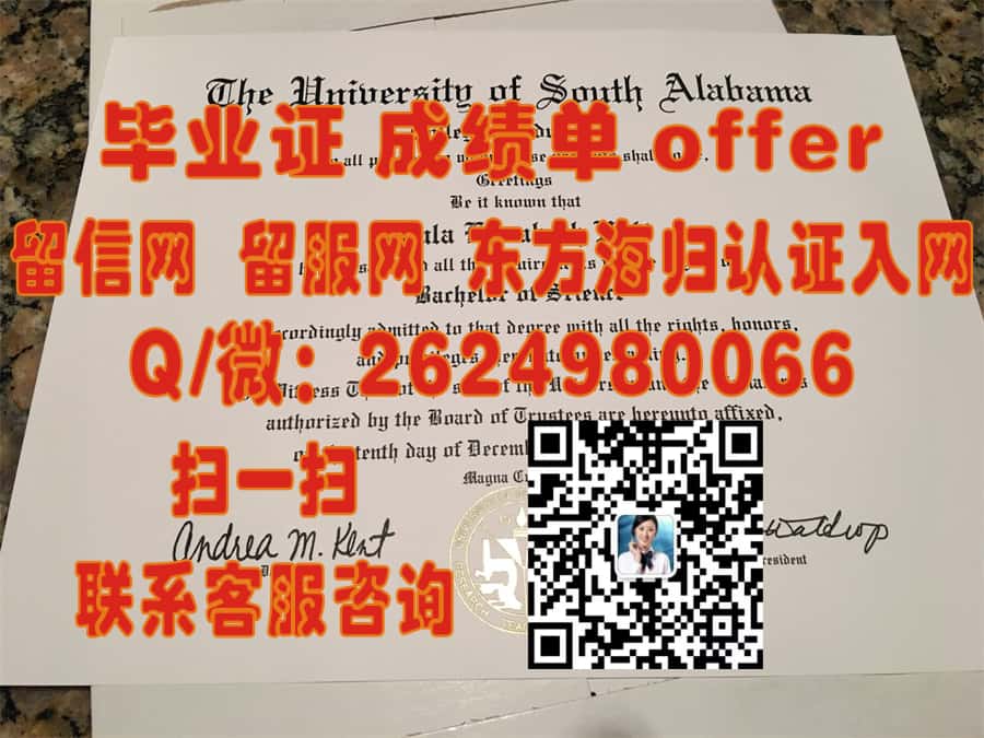 《从伊尔梅瑙工业大学到卓越未来：探索本科毕业证书背后的无限可能》