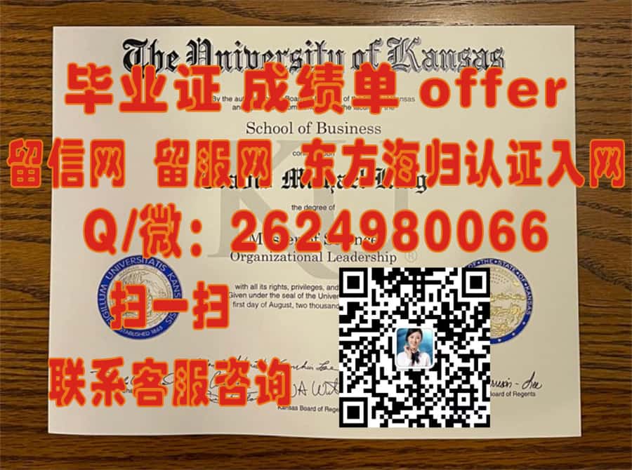 《德累斯顿大学荣耀见证：本科毕业证开启新篇章之旅》