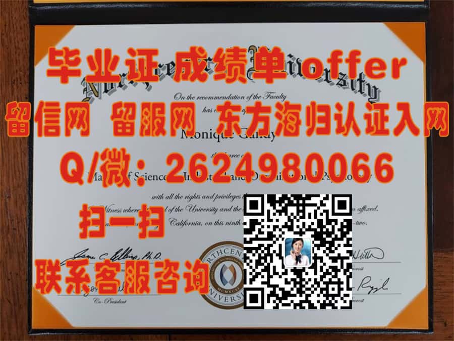《在里昂第一大学本科荣耀篇章：探索毕业生成就与未来展望》