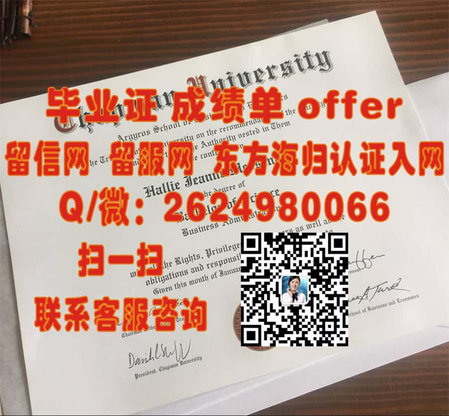 《巴黎第十一大学本科学士学位：开启国际学术与职业新篇章》