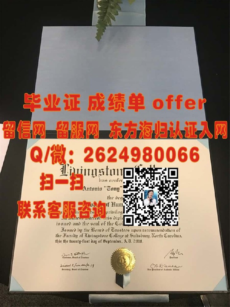 《巴黎第十三大学本科荣耀：成就非凡，开启国际学术新篇章》