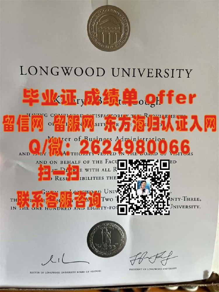 《法国威勒高等商学院本科荣耀：探索毕业生成就与未来展望》