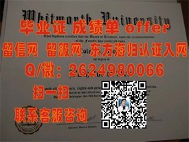 《丹麦南丹麦大学证书解析：全球认可的教育成就凭证》