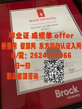 《圣约瑟夫学院毕业证背后的价值与认可度解析》