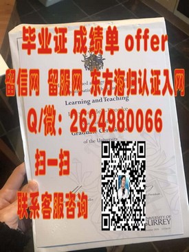 《里昂第一大学官方认证毕业证详解：权威信息助你了解欧洲名校学历》