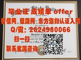 “东京大学毕业证背后的荣耀与价值：揭秘真实含金量，助你了解世界顶尖学府证书魅力”