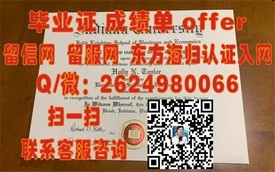 《哥本哈根信息技术大学学历认证：揭秘全球IT精英摇篮的毕业证书魅力》