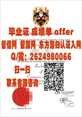 《北海道大学文凭背后的故事：揭秘全球认可的高等学府》
