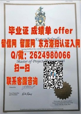 《圣路易斯华盛顿大学文凭背后的价值：揭秘名校毕业证书的魅力与认可度》