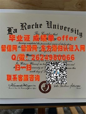 《圣路易斯华盛顿大学毕业证书背后的故事：权威解读与珍贵价值》