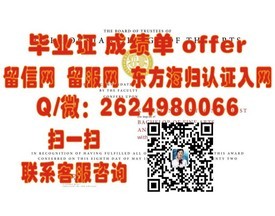 《荷兰萨克逊大学官方毕业证详解：权威认证，留学必备攻略》