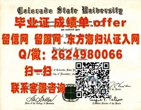 《弘益大学毕业证：揭秘全球艺术学子梦寐以求的学位证书》