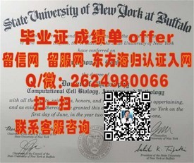 《新加坡东亚管理学院毕业证书含金量揭秘：如何助力国际职场发展》