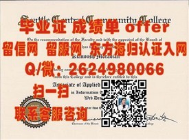 《全球精英摇篮：高知大学毕业证背后的含金量解析与名校推荐》