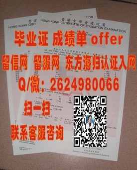 《千叶工业大学毕业证解析：如何辨别真伪，留学必备攻略》