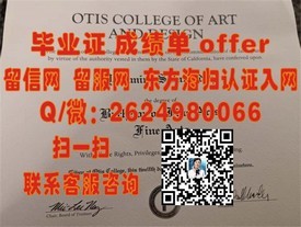 《千叶工业大学毕业证解析：权威认证，留学就业的敲门砖》