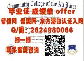 《揭秘布莱顿大学真材实料：深度解析毕业证含金量与申请攻略》
