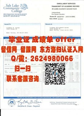 《揭秘全球认可：成蹊大学毕业证背后的价值与含金量》