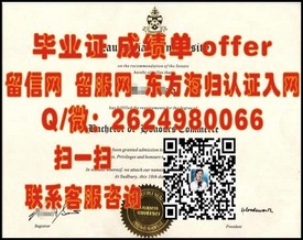 《纽约大学毕业证背后的价值与含金量揭秘：名校光环下的职业敲门砖》
