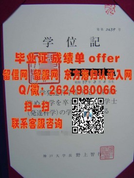 《韦恩州立大学学历认证揭秘：毕业证书含金量及申请攻略全解析》