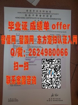 《大阪教育大学文凭揭秘：全面解析该校学历含金量及就业前景》