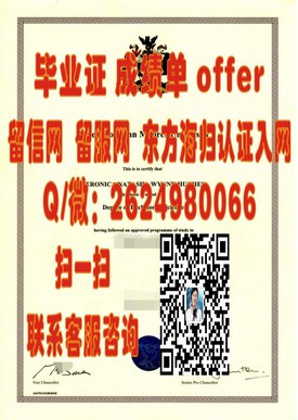 《都柏林理工学院毕业证解析：权威认证，开启全球职场新篇章》