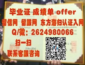 《千叶商科大学毕业生认证：揭秘真实海外学位含金量与就业前景》