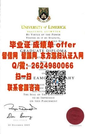 《九州国际大学文凭解析：真实学历认证，留学就业双重保障》