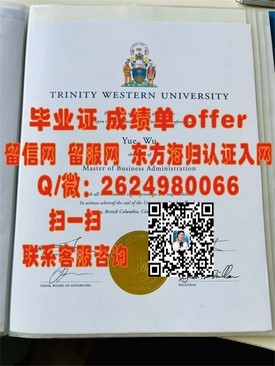 《纽约大学毕业证书背后的故事：揭秘真实学位含金量及求职优势》