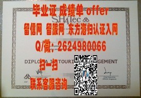 《梅西大学官方毕业证解析：学位认证背后的故事与价值》