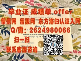 《奥地利维也纳模都尔大学认证学位，揭秘留学回国就业的黄金跳板》