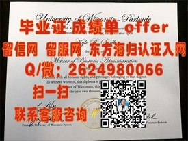 《荷兰萨克逊大学认证毕业证：揭秘真实学位含金量与申请攻略》