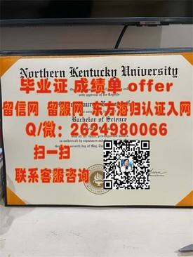《荷兰格罗宁根大学毕业证：揭秘真实含金量，助你职场一臂之力》