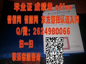 《伊尔梅瑙工业大学毕业证背后的价值揭秘：学位证书如何助力职场发展》