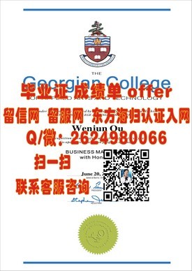 “丹麦南丹麦大学文凭解析：国际认可度与就业前景深度解读”