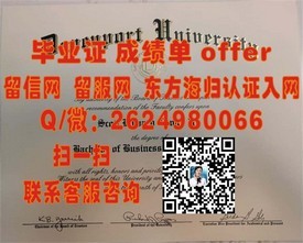 《千叶工业大学毕业证含金量揭秘：就业前景与真实评价》