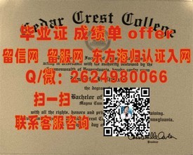 《乌克兰国立科技大学毕业证书详解：国际认可学位，开启全球就业新篇章》