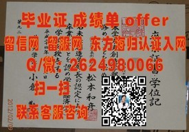 《揭秘伊尔梅瑙工业大学毕业证含金量：学位认证与就业前景解析》