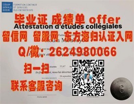 《沙顿商学院毕业证含金量揭秘：如何成为职场精英的敲门砖》