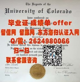 《东京理科大学文凭揭秘：权威认证，留学就业的双重保障》